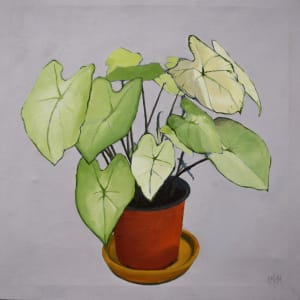 Early Potted Plant by Lisa McManus