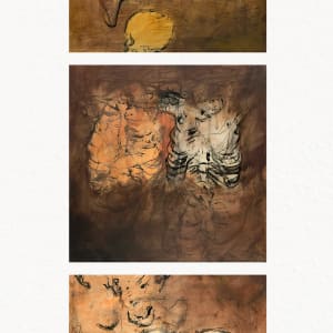 preoccupation: cervical spine, ribs, pelvis by Maggie Capettini