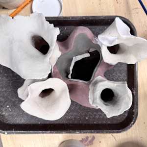 polypore-esque: co.habit by Maggie Capettini, Image 22.