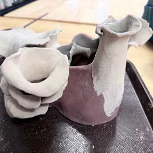 polypore-esque: co.habit by Maggie Capettini, Image 23.