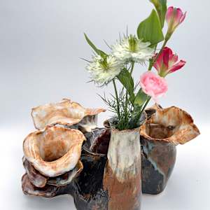 polypore-esque: co.habit by Maggie Capettini, Image 2.