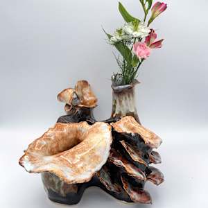 polypore-esque: co.habit by Maggie Capettini, Image 1.