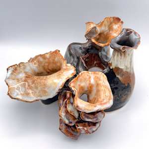 polypore-esque: co.habit by Maggie Capettini, Image 8.