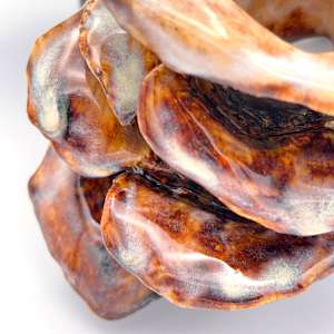 polypore-esque: co.habit by Maggie Capettini, Image 18.