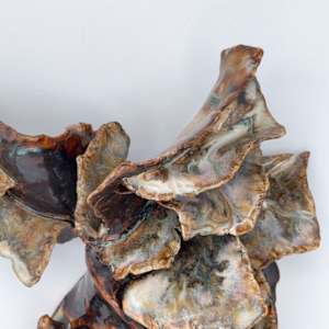 polypore-esque: bark wing by Maggie Capettini, Image 2.