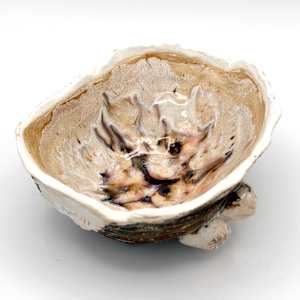 co.habit: barnacle by Maggie Capettini, Image 3.