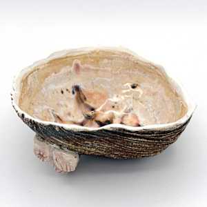 co.habit: barnacle by Maggie Capettini, Image 5.