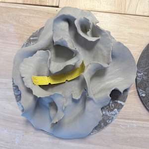 polypore-esque (wall art) by Maggie Capettini, Image 12.