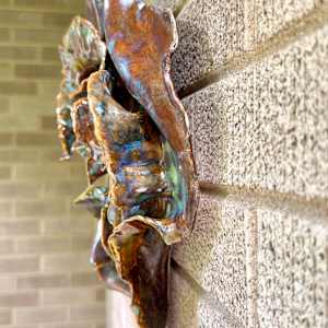 polypore-esque (wall art) by Maggie Capettini, Image 4.