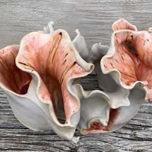 sea shell by Maggie Capettini 