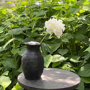 Single White Peony by Maggie Capettini, Image 4.
