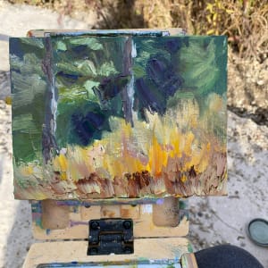 Grasses and Shadows by Maggie Capettini 