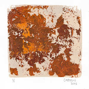 in flight, sunset by Maggie Capettini