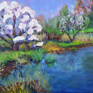Magnolia by the Japanese Slough by Maggie Capettini