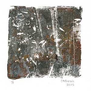 winter wood by Maggie Capettini