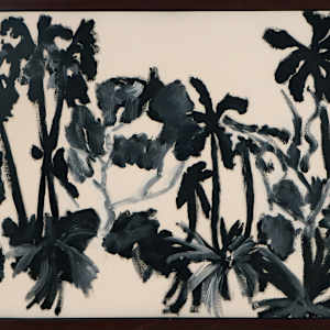 Palm valley by Peter Cooley