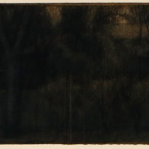 Side fence, dusk 1 by Rachel Ellis