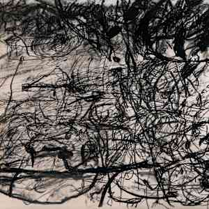 Landscape of the Webb by Mike Parr