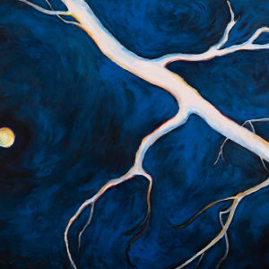 Winter Moon by Feuer Art Collection