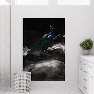 EXPOSITION by Eric C. Jackson 