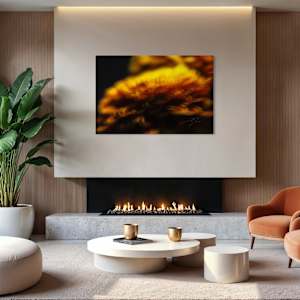 INCANDESCENCE by Eric C. Jackson 