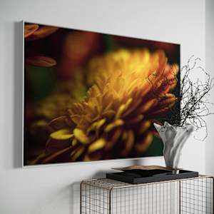 PETALS' GLOW by Eric C. Jackson 