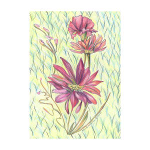 Floral Burst 2 by Helena Kuttner-Giasson  Image: Pink Daisies with Pink Carnations and hints of statice against a vintage wallpaper inspired backdrop.