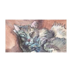 Cat Nap Cat Painting by Helena Kuttner-Giasson 