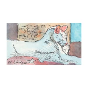 Star Spangled Nap  Cat Painting by Helena Kuttner-Giasson 