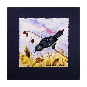 Acorn Bird by Helena Kuttner-Giasson 