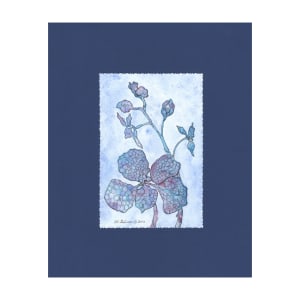 Blue Orchid 2 Floral Watercolor Painting by Helena Kuttner-Giasson 