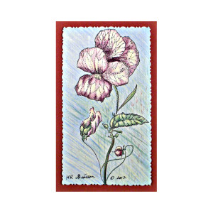 Violet Solo by Helena Kuttner-Giasson, Image 3.