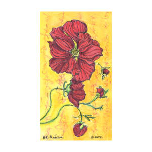 Oriental Rose Floral Drawing by Helena Kuttner-Giasson 
