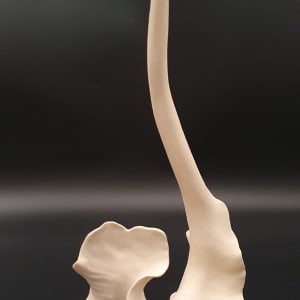 Capricious by Sylvie Pool Alvarez, Image 1.