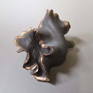 Liminal Crest by Sylvie Pool Alvarez, Image 5.