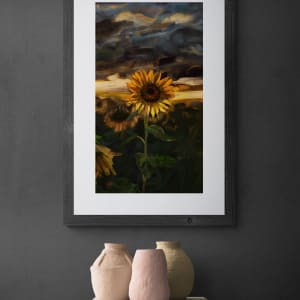 Ukrainian Sunflower (Digital Version) by Carolyn Wonders  Image: Ukrainian Sunflower Field on grey wall