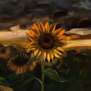 Ukrainian Sunflower (Digital Version) by Carolyn Wonders