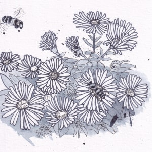 Bees and Michaelmas Daisies by Paula Jobson 