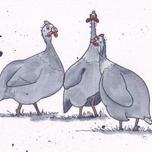2022_Guinea_Fowl by Paula Jobson 