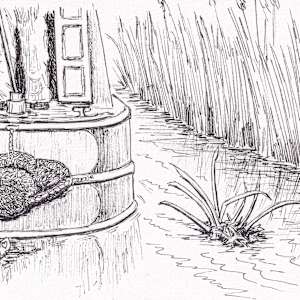 Dodging Reeds by Paula Jobson