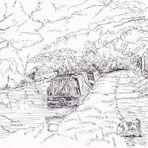 Tow Path Walks by Paula Jobson