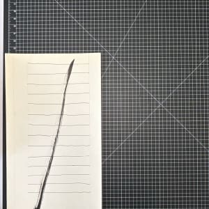 Linear Resonance by Vera Neumann 