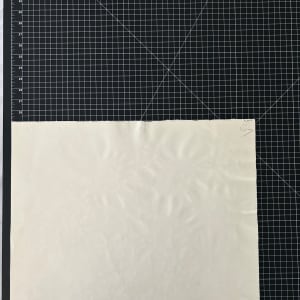 Vera Paints Queen Anne’s Lace by Vera Neumann 