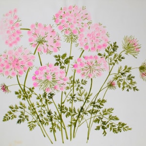 Vera Paints Queen Anne’s Lace by Vera Neumann 