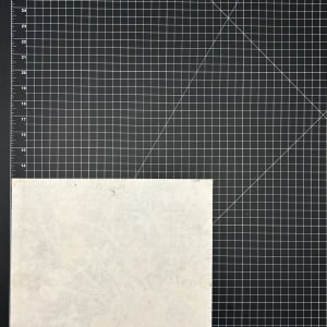 Vera Paints Poppies and Sweet Peas by Vera Neumann 