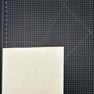 Ada's Window by Vera Neumann 