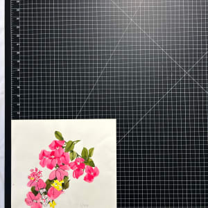 Vera Paints Bougainvillea by Vera Neumann 