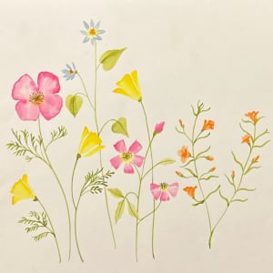 Vera Paints Evening Primrose and Buttercups by Vera Neumann 