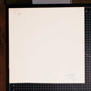 Vera Paints Spring Flowers by Vera Neumann 