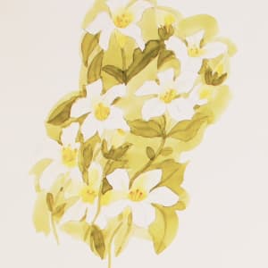 Vera Paints Spring Lilies by Vera Neumann 